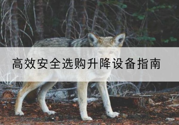 峨山升降货梯厂家推荐-*安全选购升降设备指南