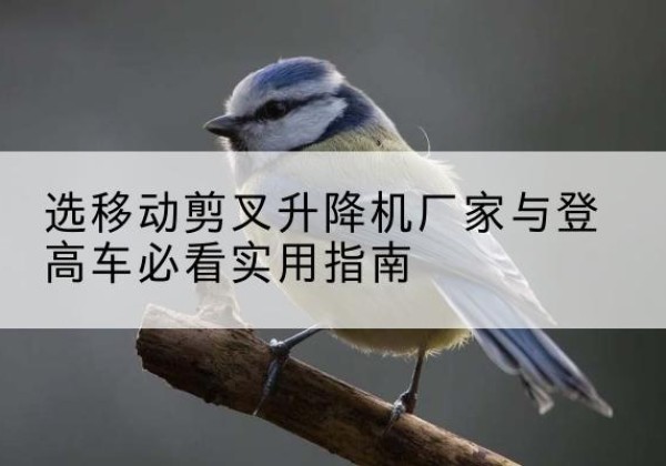 峨山电动升降机厂家-选移动剪叉升降机厂家与登高车必看实用指南